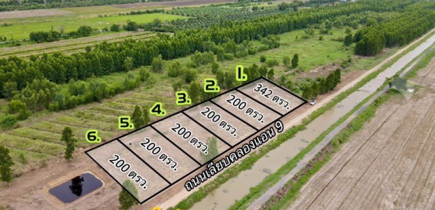 ที่ดินคลอง9หนองเสือ ติดถนนเลียบคลองระพีพัฒน์ 200 ตรว. 5.8แสนเท่านั้น T. 086-301-6161 เหมาะทำบ้านสวนเกษตร บึงชำอ้อ หนองเสือ ปทุมธานี