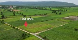 ถูกสุด ที่วิวเขา ติดถนนคอนกรีต1แสนบาท100ตรว. วังเพลิง โคกสำโรง ลพบุรี T.086-301-6161สวยมากค่ะที่ดินวิวเขา ติดคอนกรีต ดินถมเสมอถนน ฟรีค่าโอน