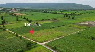 ถูกสุด ที่วิวเขา ติดถนนคอนกรีต1แสนบาท100ตรว. วังเพลิง โคกสำโรง ลพบุรี T.086-301-6161สวยมากค่ะที่ดินวิวเขา ติดคอนกรีต ดินถมเสมอถนน ฟรีค่าโอน