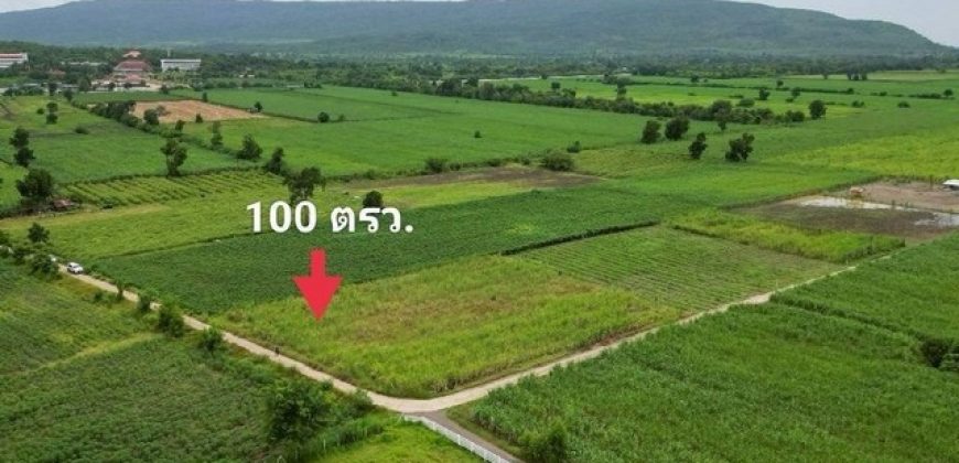 ถูกสุด ที่วิวเขา ติดถนนคอนกรีต1แสนบาท100ตรว. วังเพลิง โคกสำโรง ลพบุรี T.086-301-6161สวยมากค่ะที่ดินวิวเขา ติดคอนกรีต ดินถมเสมอถนน ฟรีค่าโอน