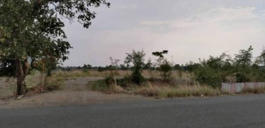 ขายที่ดิน ติดถนนใหญ่ ทางหลวงหมายเลข 2219 จังหวัดเพชรบูรณ์