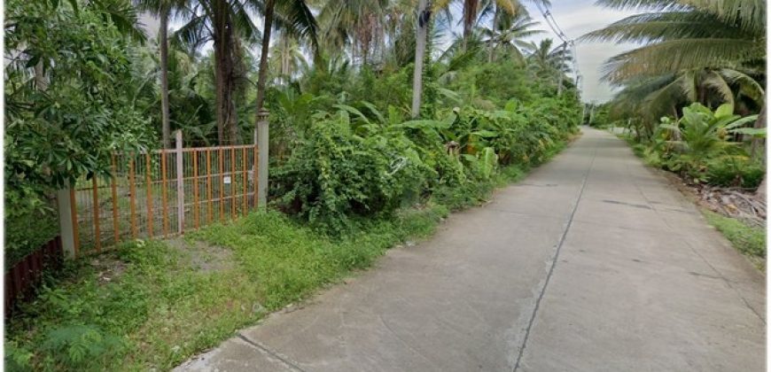 บ้านสวนทรงไทยริมน้ำ นั่งชมหิ่งห้อยได้จากระเบียงบ้านและท่าน้ำ เหมาะกับการผักผ่อน