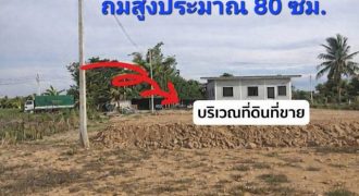 ที่ดินถมแล้ว พร้อมปลูกบ้าน ทำเลดี นครปฐม ใกล้กรุงเทพ เดินทางสะดวก เข้า-ออกได้หลายทาง เทศบาลเมืองสามควายเผือก จ.นครปฐม