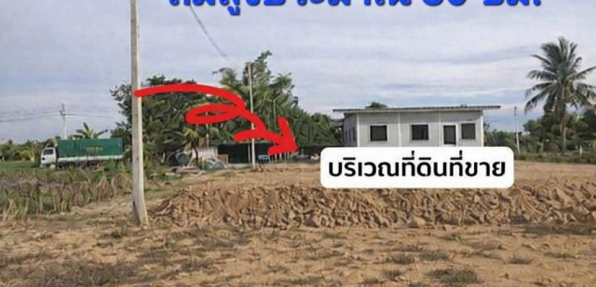 ที่ดินถมแล้ว พร้อมปลูกบ้าน ทำเลดี นครปฐม ใกล้กรุงเทพ เดินทางสะดวก เข้า-ออกได้หลายทาง เทศบาลเมืองสามควายเผือก จ.นครปฐม