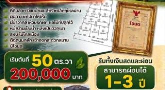ขายที่ดิน100 ตารางวา เจ้าของขายเอง บ้านท่าหลุก แม่ยาว เชียงราย 0999830889