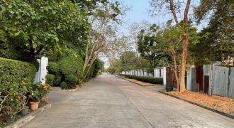 พื้นที่ดิน – 54000000 thb ใกล้กับ ใกล้ถนนศรีนครินทร์ และสวนหลวง ร.9 ทำเล-ทอง