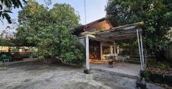 ให้เช่าที่ดิน202ตร.วแปลงมุมวชิรธรรมสาธิต23สุขุมวิท101-1 มีที่จอดรถติดถนน2ด้านใกล้ร้านส้มตำคุณกัญจ์
