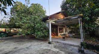 ให้เช่าที่ดิน202ตร.วแปลงมุมวชิรธรรมสาธิต23สุขุมวิท101-1 มีที่จอดรถติดถนน2ด้านใกล้ร้านส้มตำคุณกัญจ์
