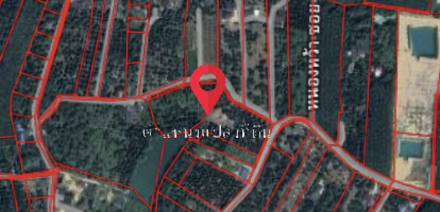 ขายที่ดิน พร้อมสวนทุเรียน มังคุด จังหวัดระยอง 5 ไร่ 1 งาน 31 ตร.ว. ใกล้เมืองระยอง ใกล้ทะเลเพียง 10 นาที