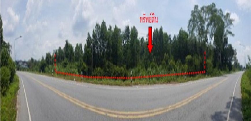 ขายที่ดินว่างเปล่า ถ.ทล.แผ่นดินสายคลองแงะ-โคกโพธิ์ ต.ลำไพล อ.เทพา จ.สงขลา