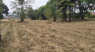svs356 ขายที่ดิน มวกเหล็ก สระบุรี ใกล้พาราไดซ์รีสอร์ท