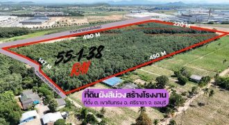 ขายที่ดินเปล่า แปลงสวย เขตเขาคันทรง ศรีราชา ชลบุรี FP-L02301