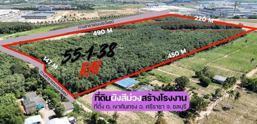 ขายที่ดินเปล่า แปลงสวย เขตเขาคันทรง ศรีราชา ชลบุรี FP-L02301
