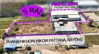 ขายโรงงาน ทำเลทอง เขตพนานิคม นิคมพัฒนา จังหวัดระยอง FP-W02303