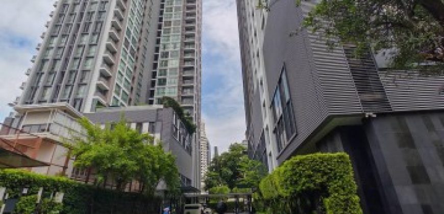For Sale | Quattro by Sansiri Thonglor Best Price 9.5MB.