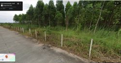 ขายที่ดินใกล้นิคมอุตสาหกรรม ทำเลศักยภาพ จังหวัดชลบุรี