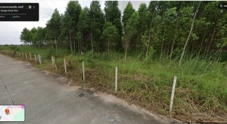 ขายที่ดินใกล้นิคมอุตสาหกรรม ทำเลศักยภาพ จังหวัดชลบุรี