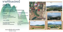 ขายที่ดินแปลงใหญ่ 259 ไร่ ต.คลองกิ่ว อ.บ้านบึง จ.ชลบุรี ทำเลศักยภาพ ติดถนนใหญ่ เหมาะลงทุนและพัฒนาโครงการ