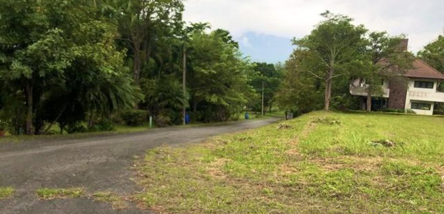 ขายที่ดิน 470 ตร.ว. แปลงมุม ในสนามกอล์ฟเซอร์เจมส์คันทรีคลับ Forest Hill มวกเหล็ก สระบุรี