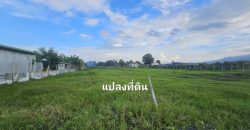 ขายที่ดินเปล่า ทำเลดี แม่ริม เชียงใหม่ ราคาต่ำกว่าตลาด ใกล้มหาวิทยาลัยแม่โจ้ วิวดอยสุเทพ