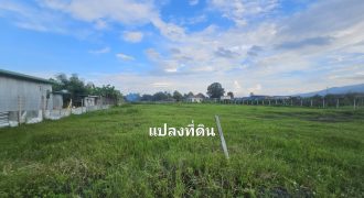 ขายที่ดินเปล่า ทำเลดี แม่ริม เชียงใหม่ ราคาต่ำกว่าตลาด ใกล้มหาวิทยาลัยแม่โจ้ วิวดอยสุเทพ