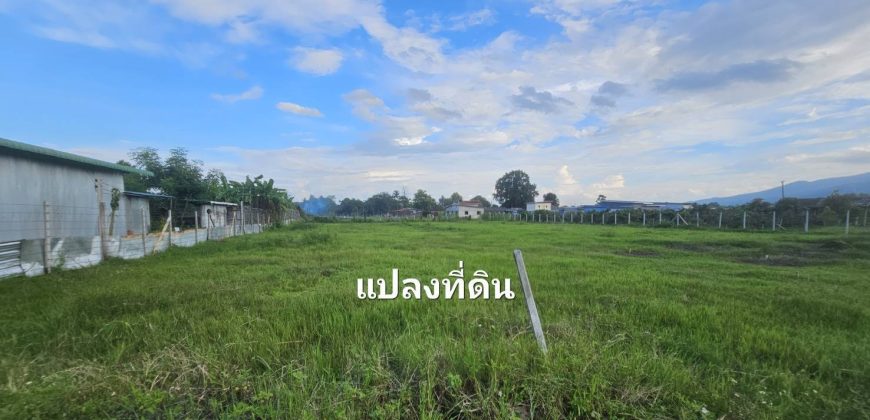 ขายที่ดินเปล่า ทำเลดี แม่ริม เชียงใหม่ ราคาต่ำกว่าตลาด ใกล้มหาวิทยาลัยแม่โจ้ วิวดอยสุเทพ