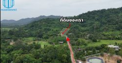 PZ1481–ขาย ที่ดิน พร้อมบ้าน 4 หลัง ติดเขา และสวนผลไม้ 1 ไร่ 3 งาน 38 ตรว. + ภ.บ.ท. 3 ไร่ ตำบลเขาพระ อำเภอเมืองนครนายก จังหวัดนครนายก