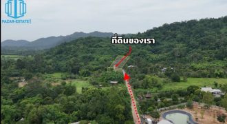 PZ1481–ขาย ที่ดิน พร้อมบ้าน 4 หลัง ติดเขา และสวนผลไม้ 1 ไร่ 3 งาน 38 ตรว. + ภ.บ.ท. 3 ไร่ ตำบลเขาพระ อำเภอเมืองนครนายก จังหวัดนครนายก