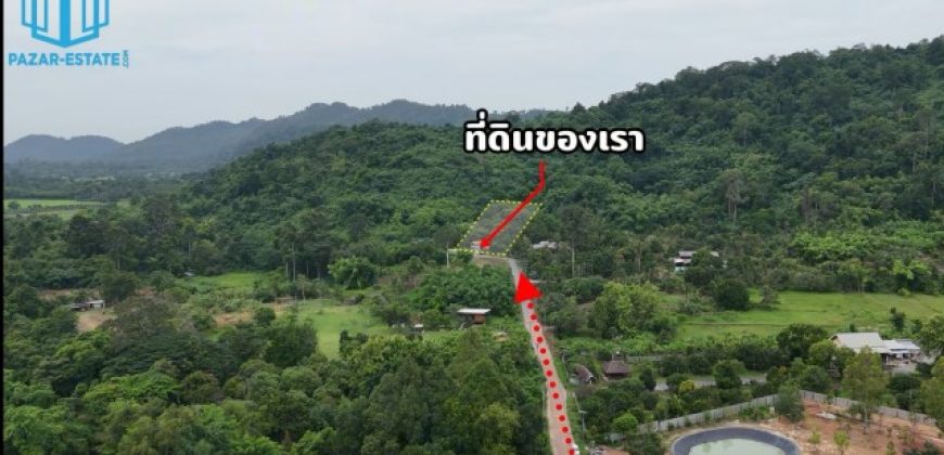 PZ1481–ขาย ที่ดิน พร้อมบ้าน 4 หลัง ติดเขา และสวนผลไม้ 1 ไร่ 3 งาน 38 ตรว. + ภ.บ.ท. 3 ไร่ ตำบลเขาพระ อำเภอเมืองนครนายก จังหวัดนครนายก