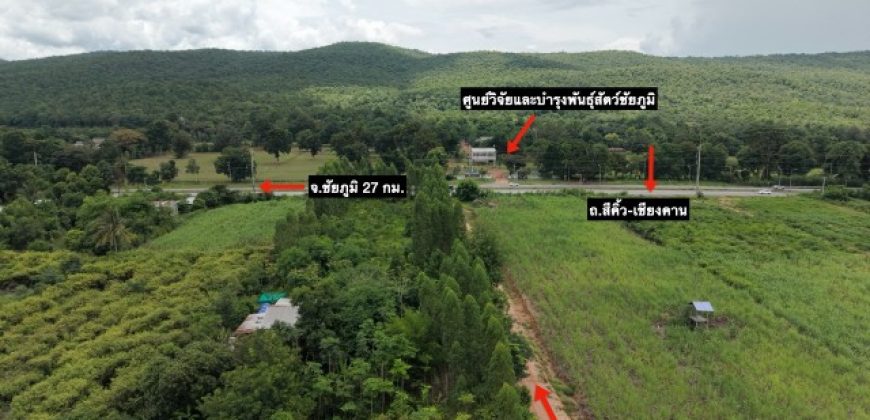 ขาย ที่ดิน 11 ไร่ เศษ วิวภูเขา ห่างถนนสีคิ้ว- เชียงคาน 200 เมตร และถนน Hightway (3058) 1.5 กิโลเมตร ต.ห้วยไร่ อ.คอนสวรรค์ จ.ชัยภูมิ
